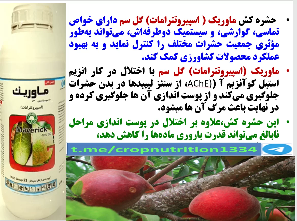 کنترل افات مکنده به خصوص سپردار سفید درختان هلو با حشره کش ماوریک گل سم – قسمت سوم