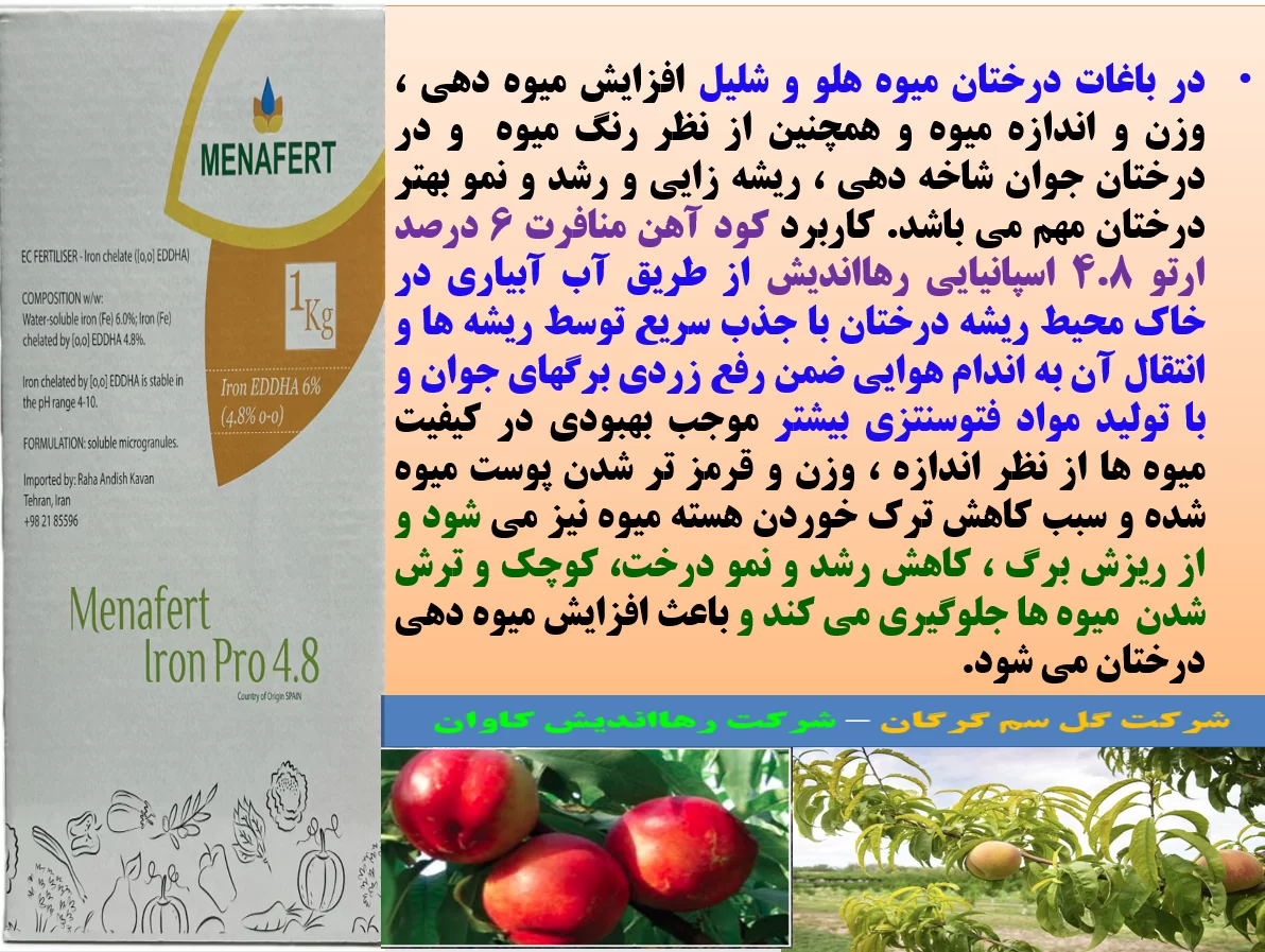 افزایش میوه دهی و کیفیت میوه های هلو و شلیل با کود آهن منافرت رهااندیش – قسمت اول