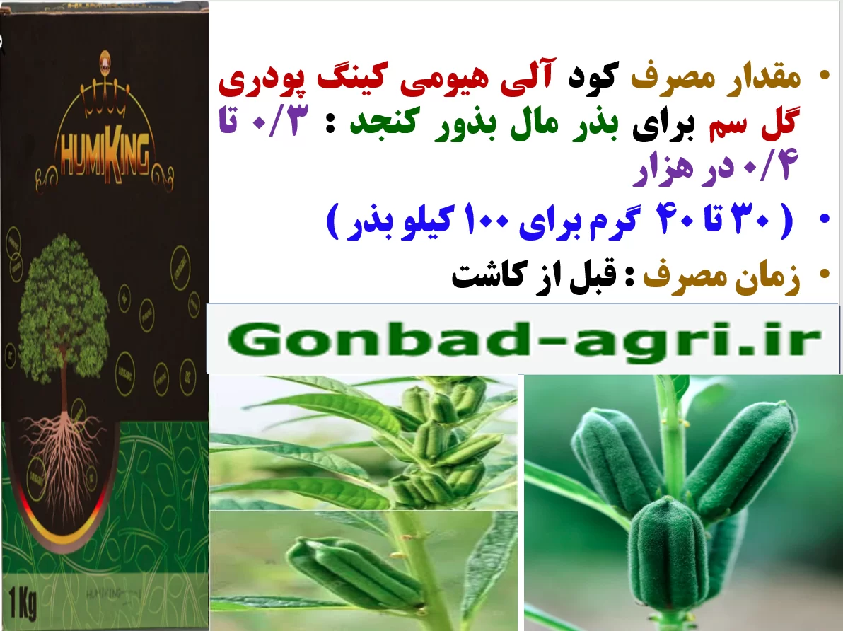 کاربرد کود آلی هیومی کینگ گل سم به عنوان بذر مال بذور کنجد – قسمت دوم