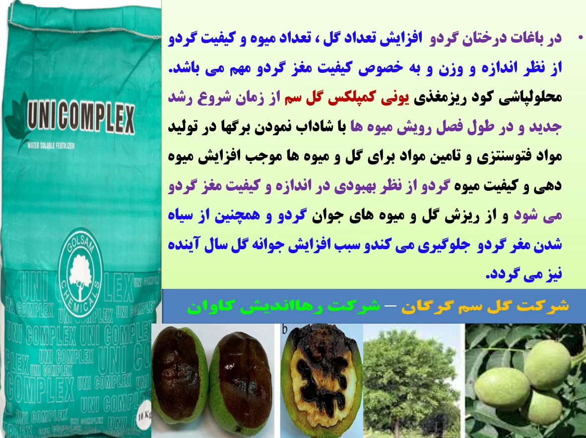 افزایش تولید میوه در درختان گردو با کود یونی کمپلکس گل سم – قسمت اول