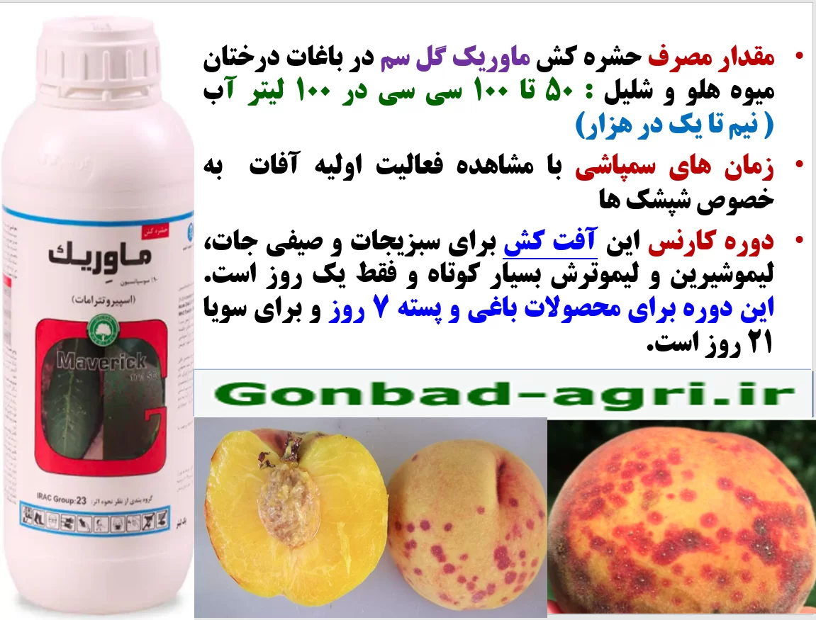 کنترل افات مکنده به خصوص سپردار سفید درختان هلو با حشره کش ماوریک گل سم – قسمت دوم