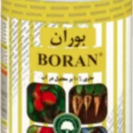 اهمیت مصرف کود بوران گل سم در گیاهان زراعی و باغی